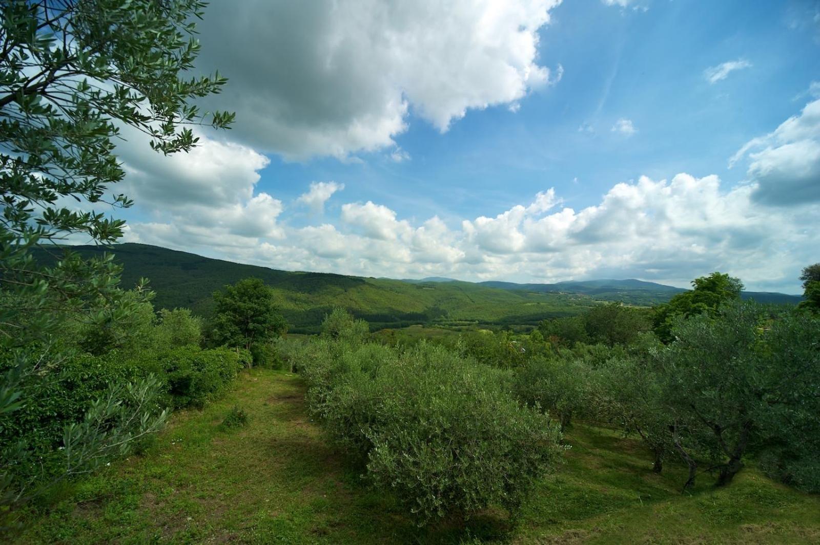 Hotel Girifalco - Nature & Relax Масса-Мариттима Экстерьер фото